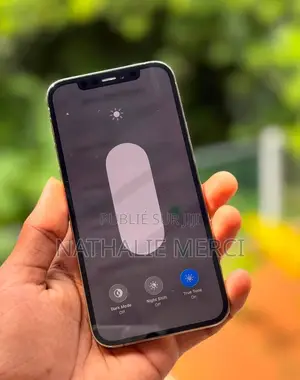 Nouveau Apple iPhone 12 Pro 256 GB Argenté