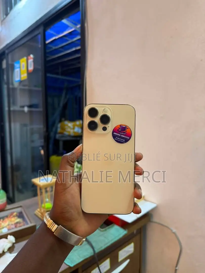 Nouveau Apple iPhone 15 Pro Max 256 GB Argenté