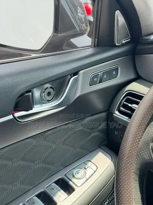 Hyundai Palissade 2020 Vert