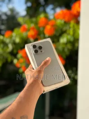 Nouveau Apple iPhone 15 Pro Max 256 GB Gris