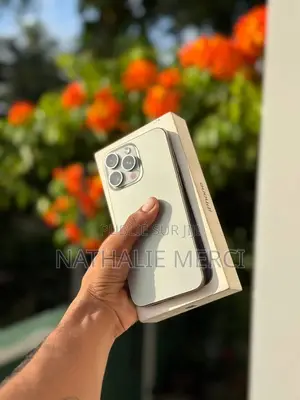 Nouveau Apple iPhone 15 Pro Max 256 GB Gris