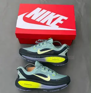 Nike Vomero 18 Gore Tex