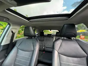 Toyota RAV4 2023 Gris