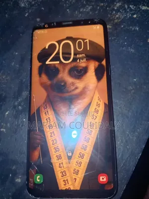 Samsung Galaxy S8+ 128 GB Noir