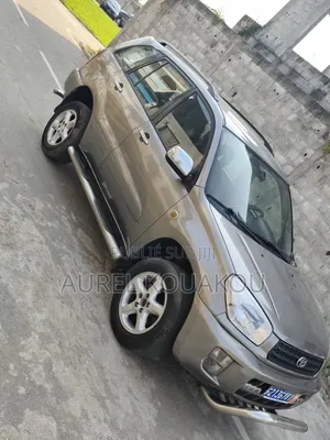 Toyota RAV4 2019 Gris