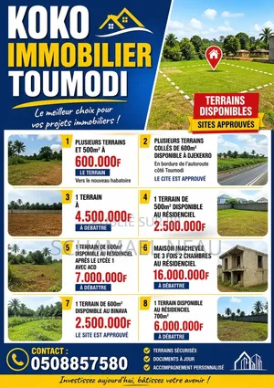 Plusieurs Terrains en Vente Situé À Toumodi