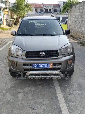 Toyota RAV4 2002 Gris