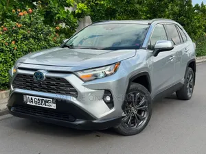 Toyota RAV4 2023 Gris