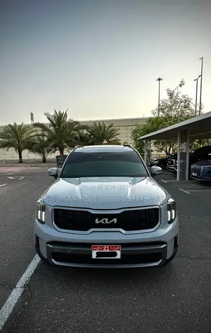 Kia Telluride 2024 Vert