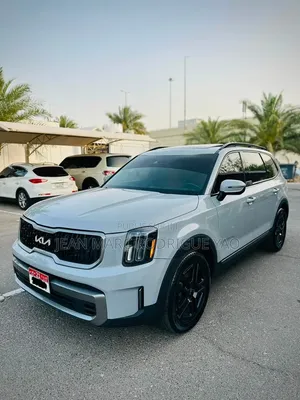 Kia Telluride 2024 Vert