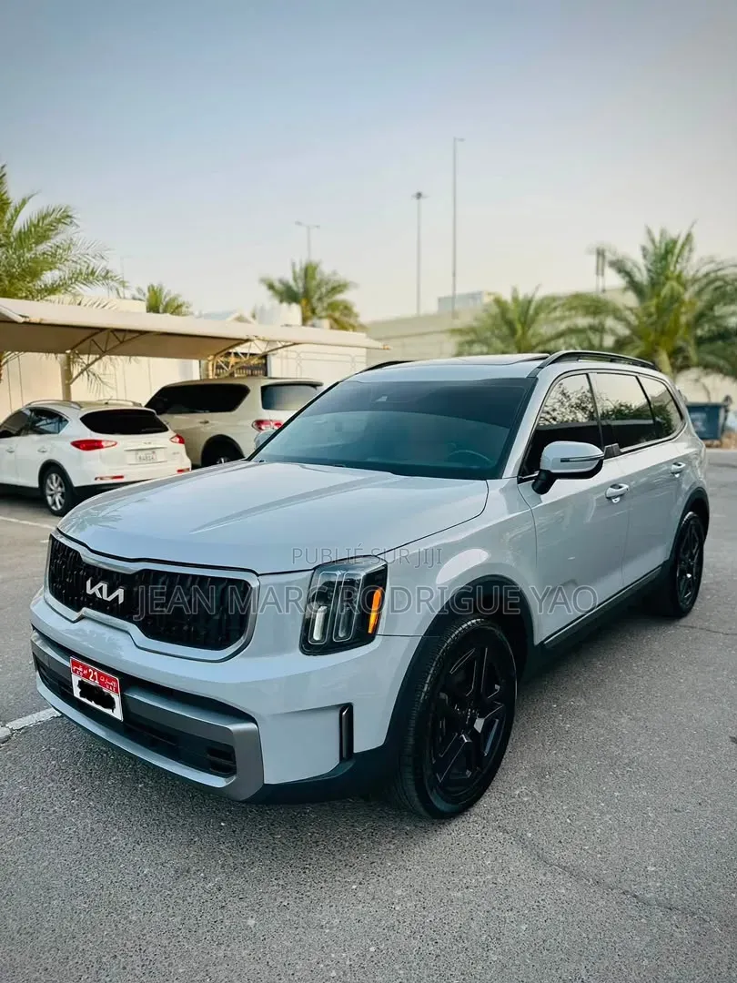 Kia Telluride 2024 Vert