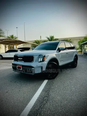 Kia Telluride 2024 Vert