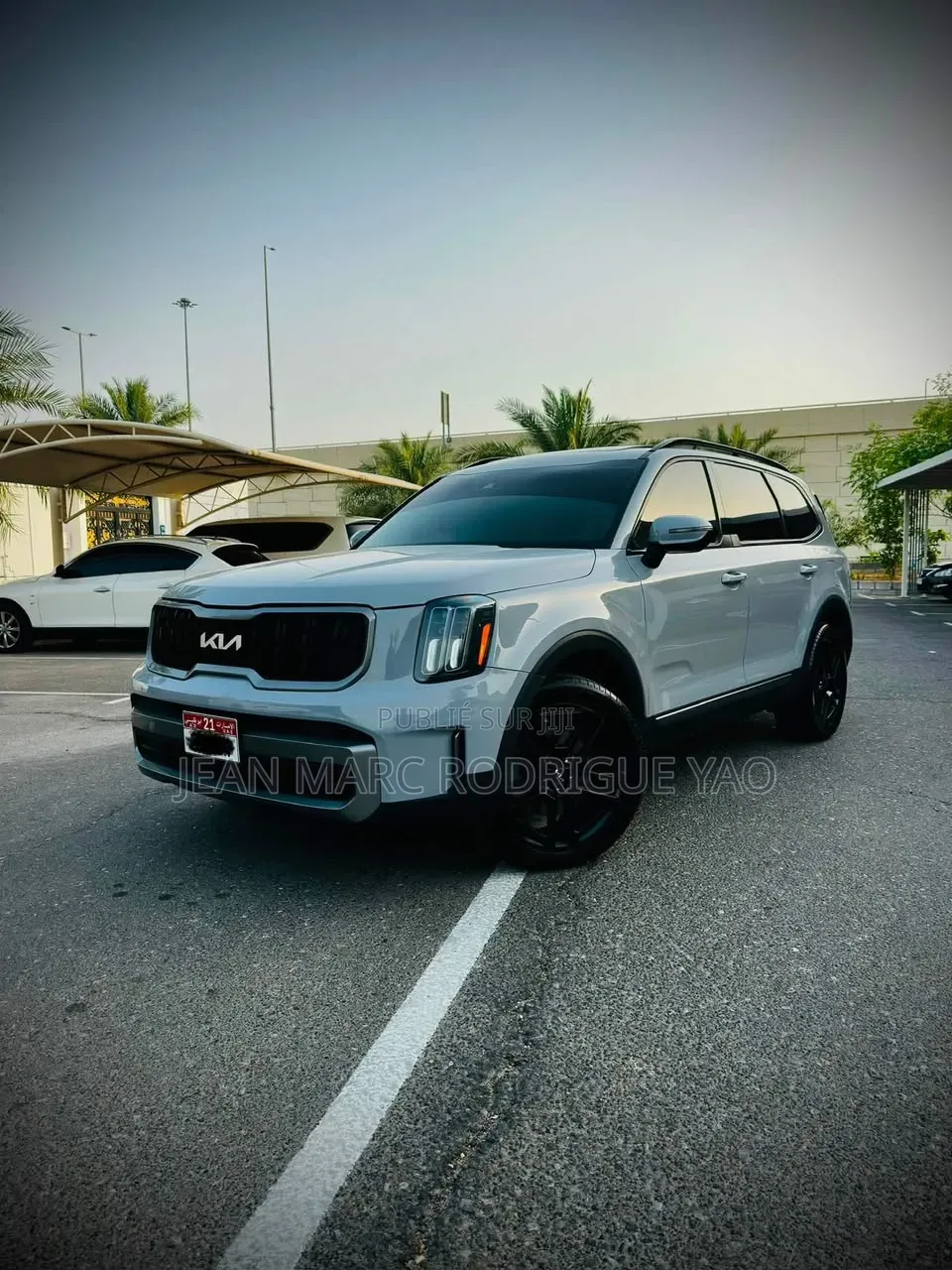 Kia Telluride 2024 Vert
