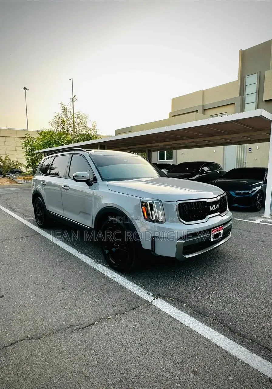 Kia Telluride 2024 Vert