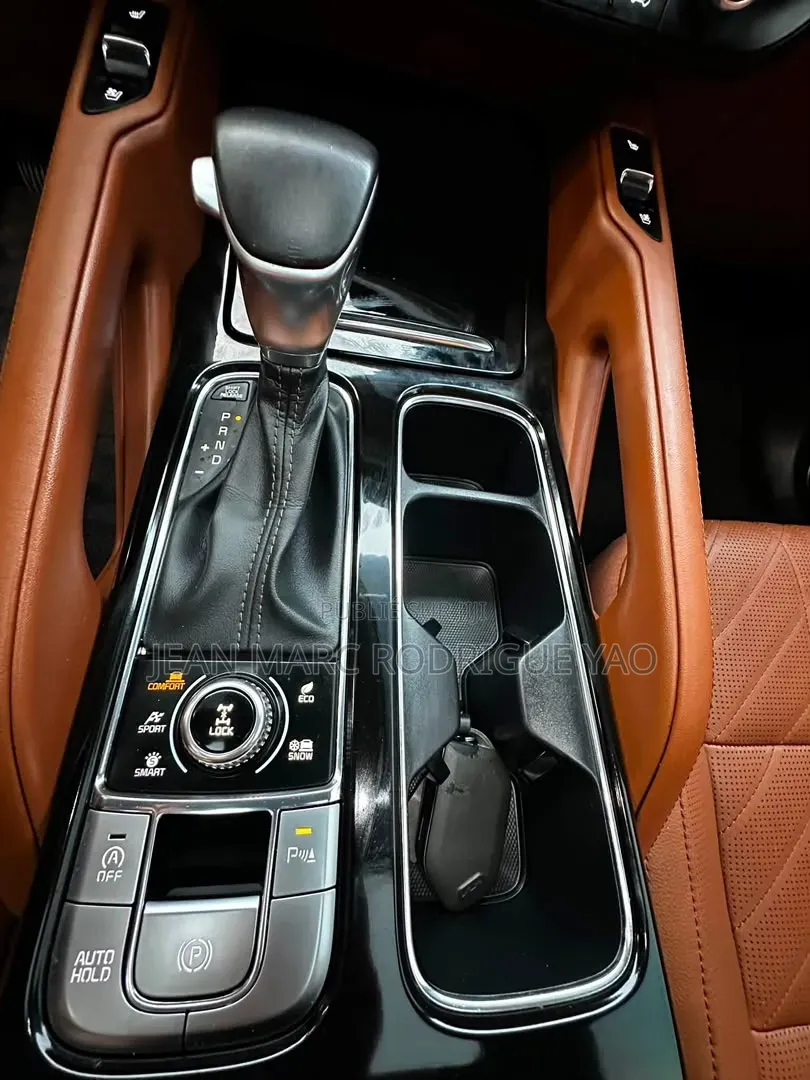 Kia Telluride 2024 Vert
