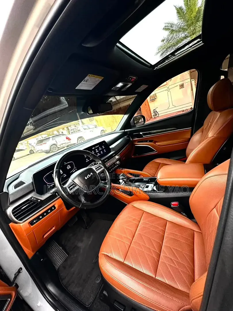 Kia Telluride 2024 Vert