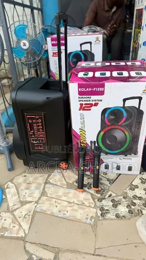 Karoake Speakers