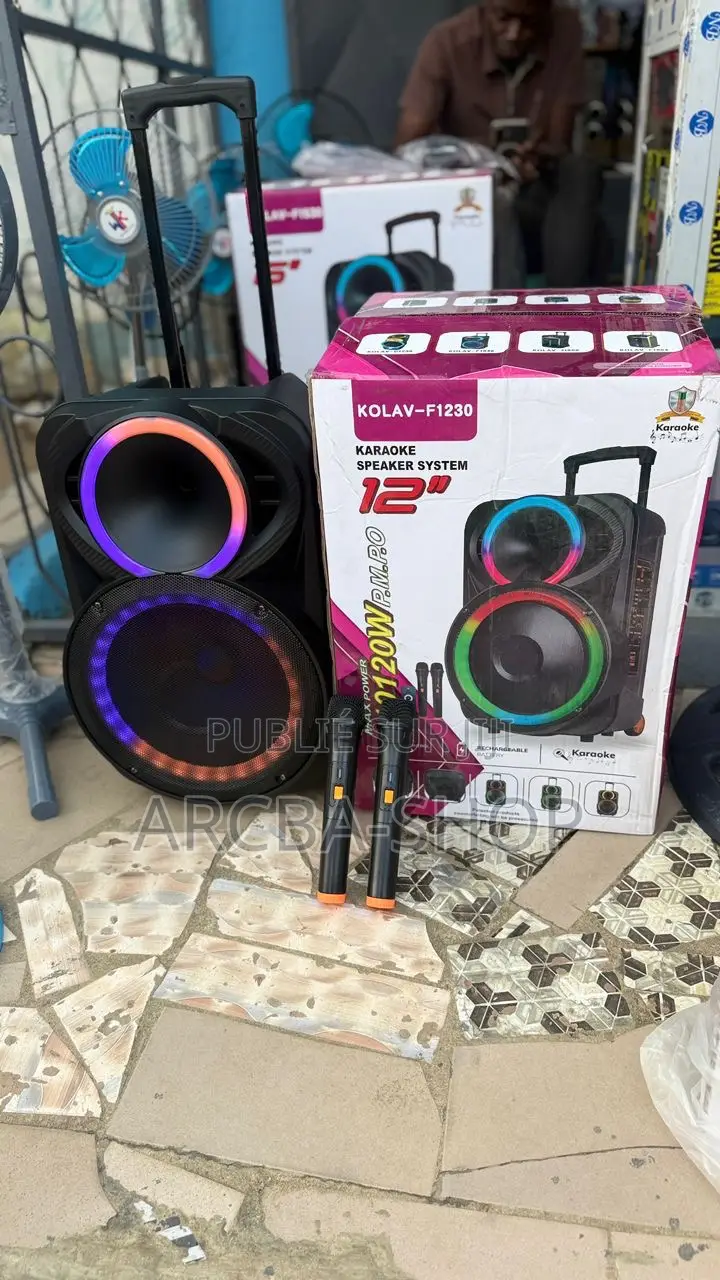 Karoake Speakers