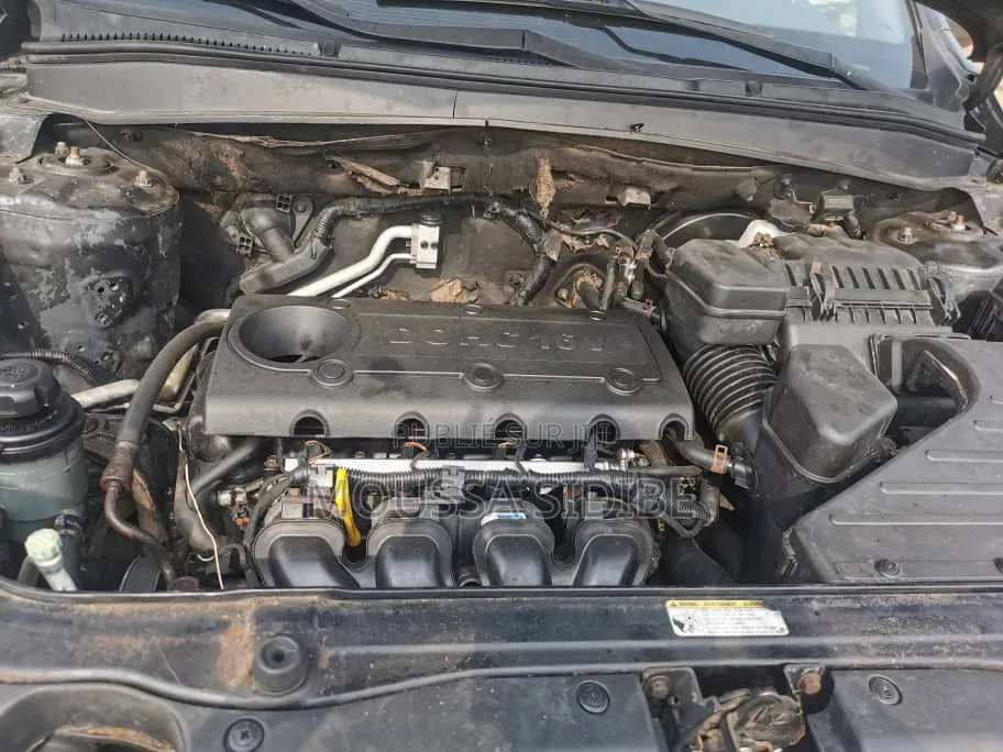 Hyundai Santa Fe 2008 Gris
