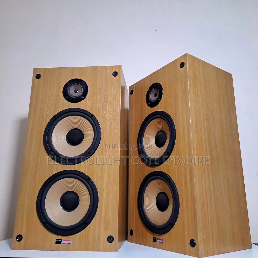 Enceinte Sony SS-1250