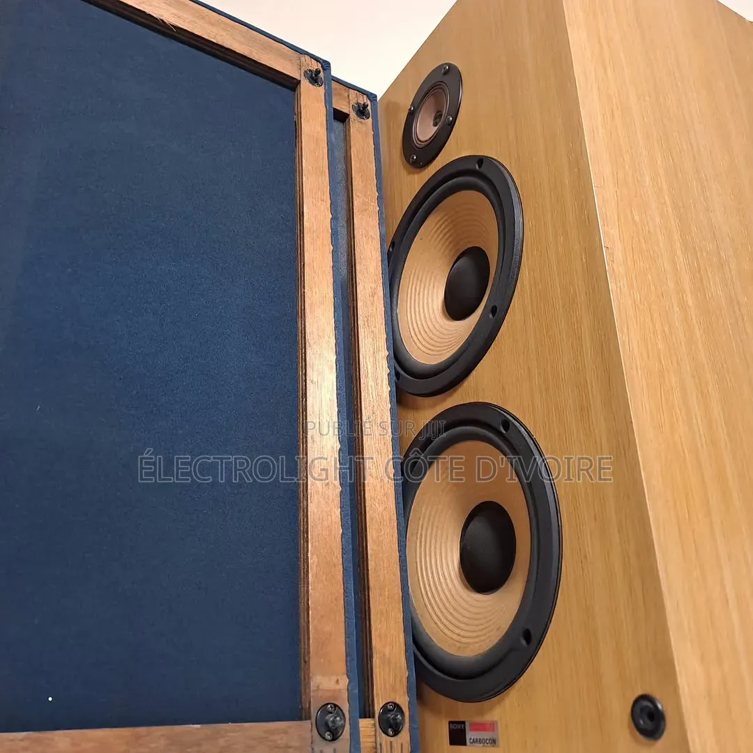 Enceinte Sony SS-1250