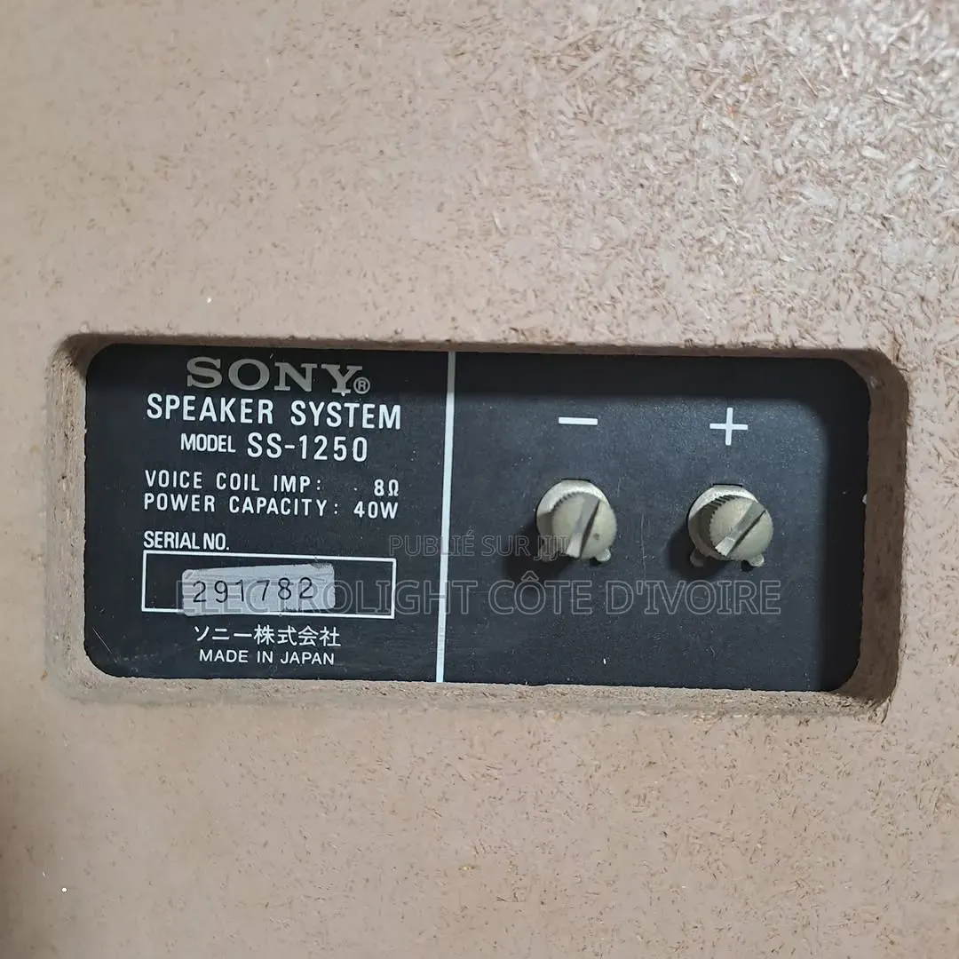 Enceinte Sony SS-1250