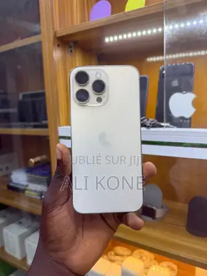 Nouveau Apple iPhone 13 Pro 256 GB Autre