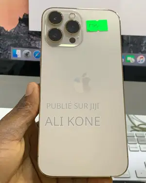 Nouveau Apple iPhone 13 Pro 256 GB Autre