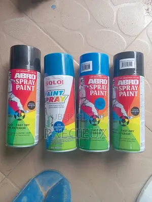 Bombe a Peinture en Spray
