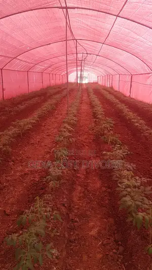 Toile De Paillage AGROTEX 100 3,2 × 100 M