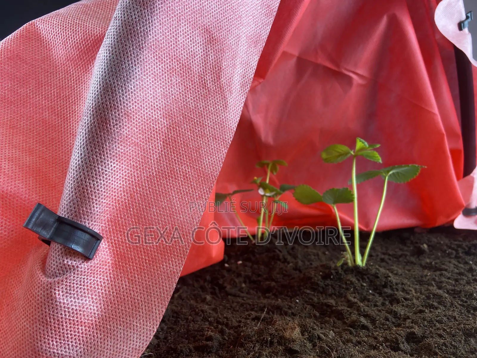 Toile De Paillage AGROTEX 100 3,2 × 100 M