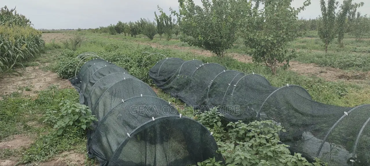 Filet d'Ombrage 70 % AGROTEX 4 × 50 M
