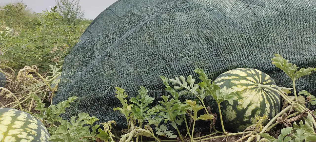 Filet d'Ombrage 70 % AGROTEX 4 × 50 M