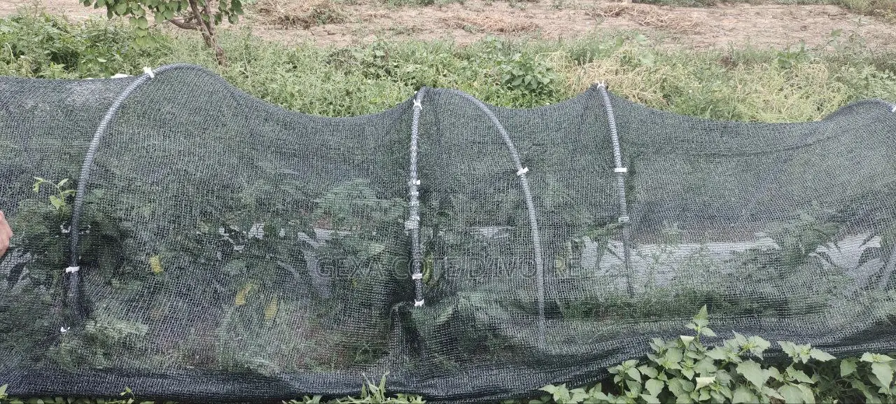 Filet d'Ombrage 70 % AGROTEX 4 × 50 M