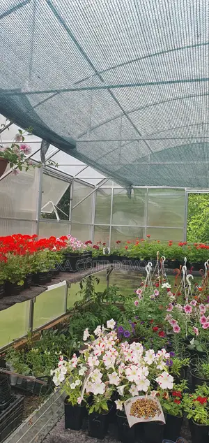 Filet d'Ombrage 80 % AGROTEX 3 × 50 M