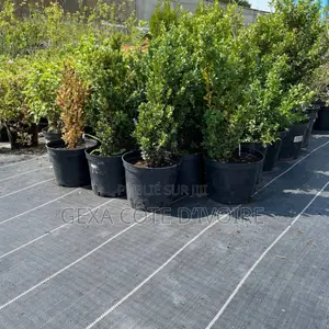 AGROTEX Geotissu 150 – Géotextile Tissé 4,2 × 100 M