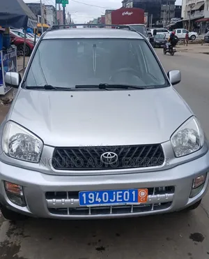 Toyota RAV4 2004 Gris