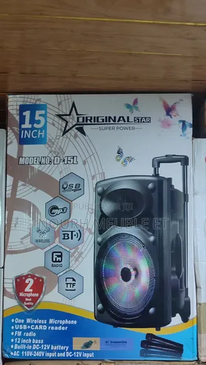 Baffe Rechargeable Avec 2 Micros - Neuf - Disponible À Abidjan