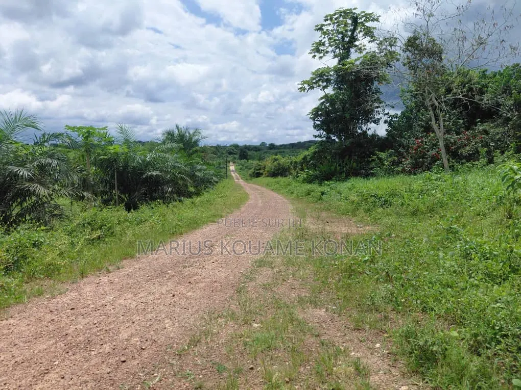 Des Terrains De 500 M2 À Vendre À Yamoussoukro