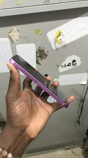 Apple iPhone 16 Plus 128 GB Rose