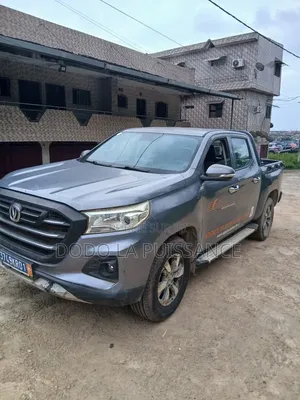 Changan BenBen 2021 Gris