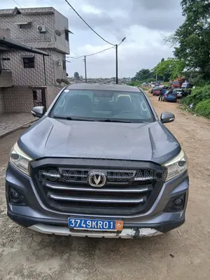 Changan BenBen 2021 Gris
