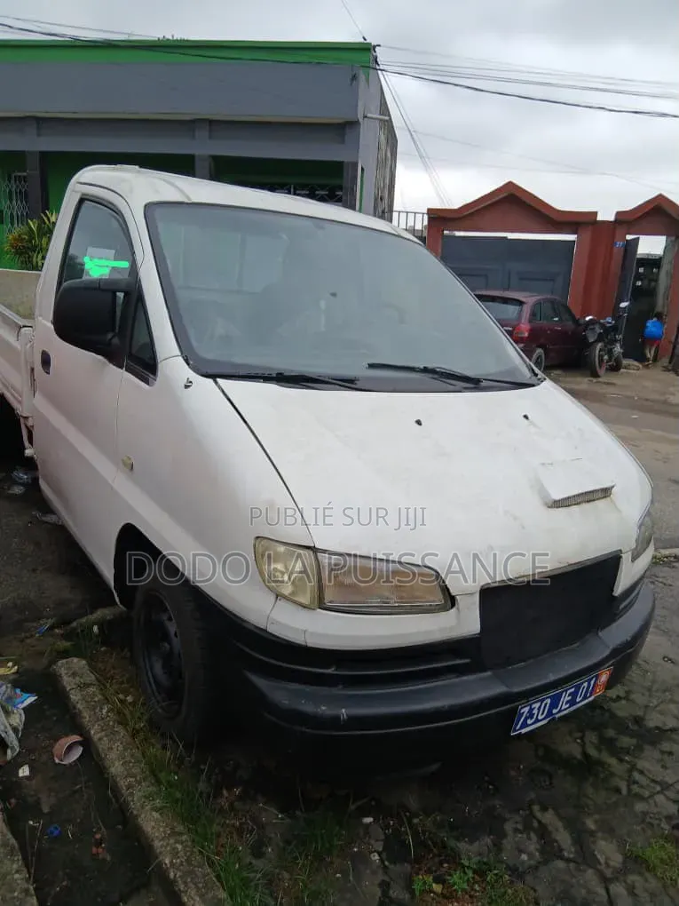 Hyundai H100