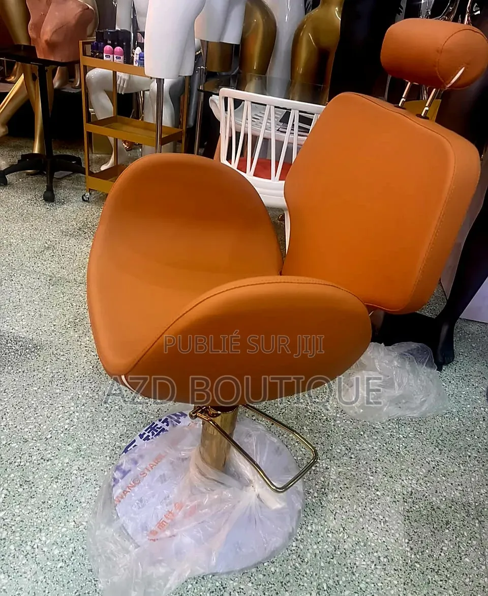 Fauteuil Professionnel Pour Salon d'Esthétique
