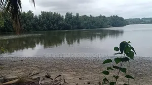 Très Belle Opportunité Fiable: Terrain 450 M2 Bingerville Anan