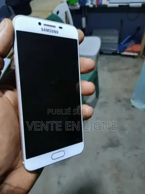 Samsung Galaxy C5 64 GB Autre