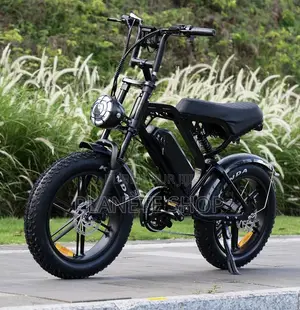 Vélo Électrique Fat Bike