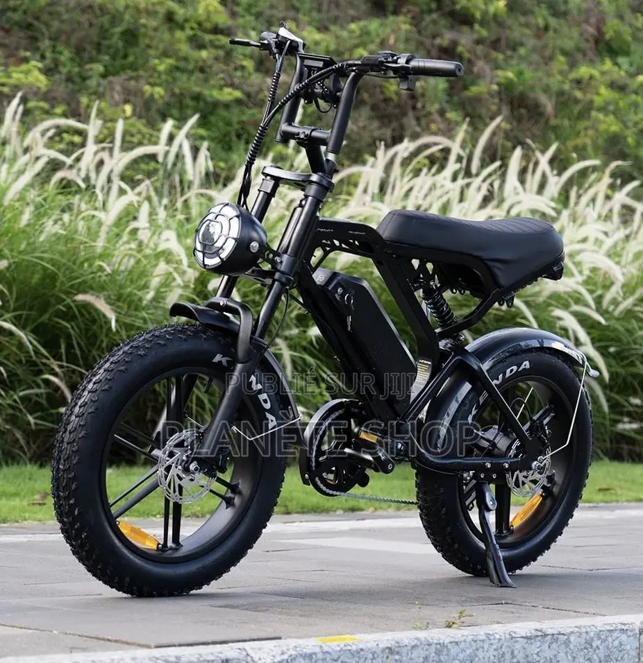 Vélo Électrique Fat Bike