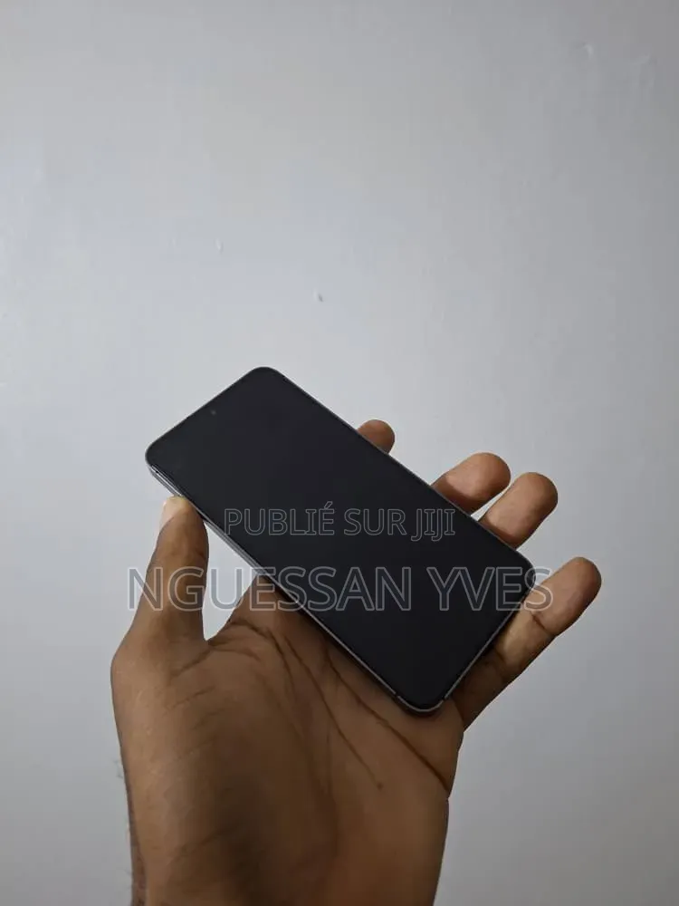 Samsung Galaxy S24 128 GB Autre