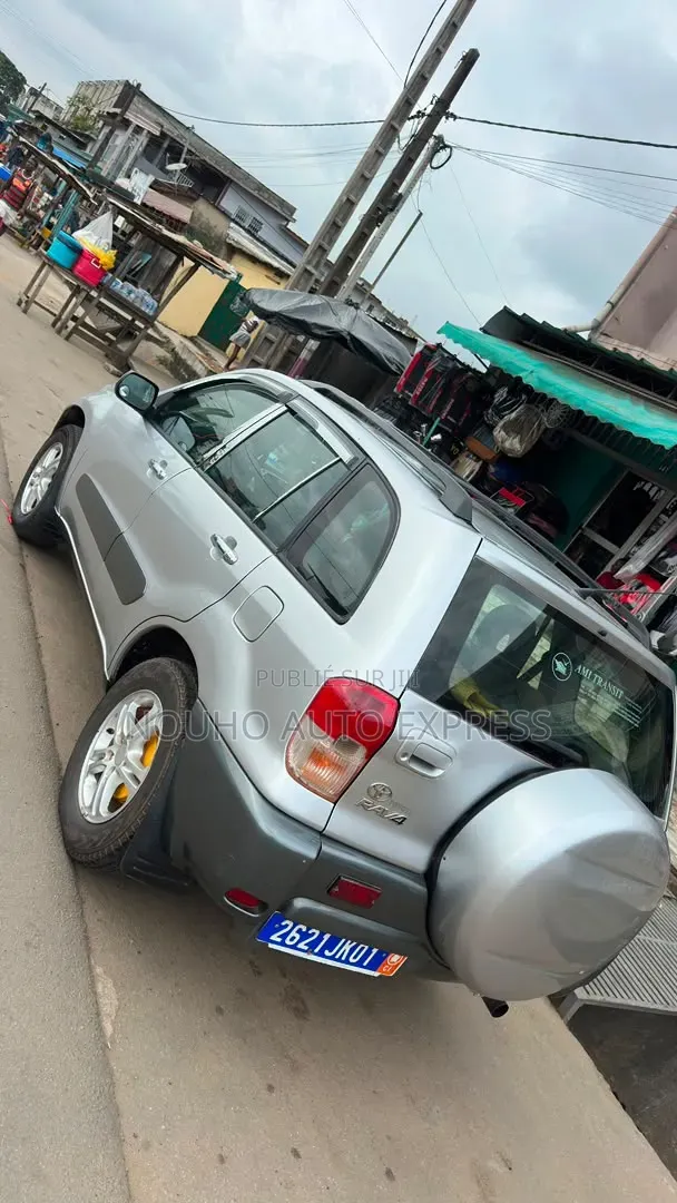 Toyota RAV4 2005 Gris